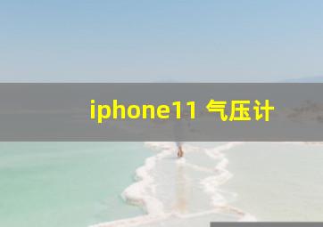 iphone11 气压计